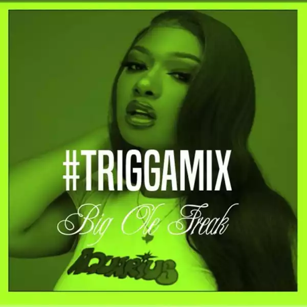 Trey Songz - Big Ole Freak (TriggaMix)